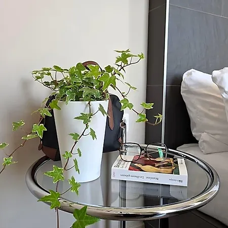 Amirauté Hotel 3*